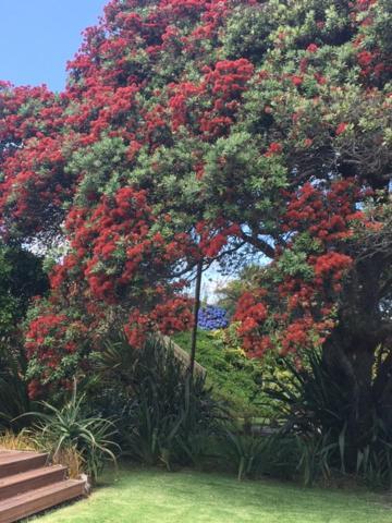 Absolute Waterfront Serenity Near Auckland Clarks Beach エクステリア 写真