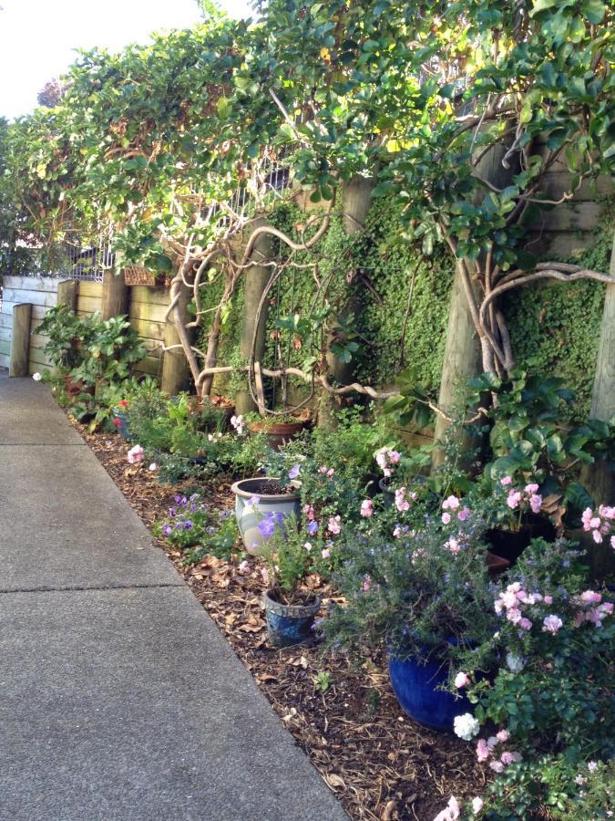 Absolute Waterfront Serenity Near Auckland Clarks Beach エクステリア 写真